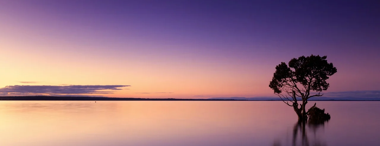 分類: <span>傳承上師</span>