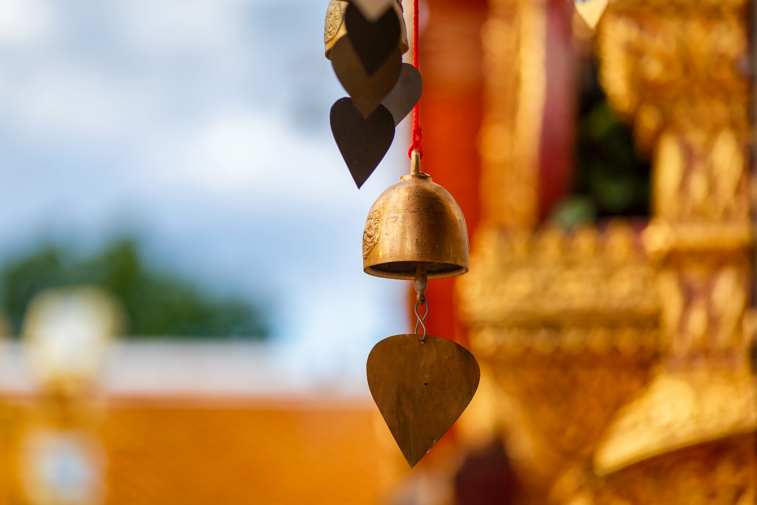 About FPMT